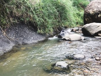 View of waterfall in forest