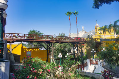 Flowering plants by building against blue sky