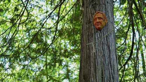 Low angle view of a face on tree trunk in forest