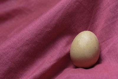 High angle view of eggs