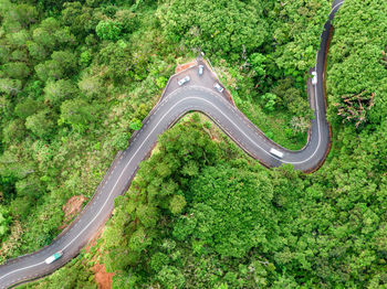 High angle view of road amidst trees