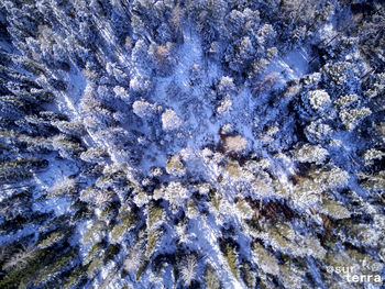 Full frame shot of blue rock