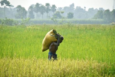 Farmer carrying sack on back while walking amidst plants