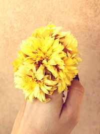 Close-up of hand holding yellow flower