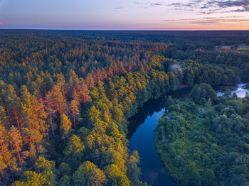 High angle view of trees by river during sunset