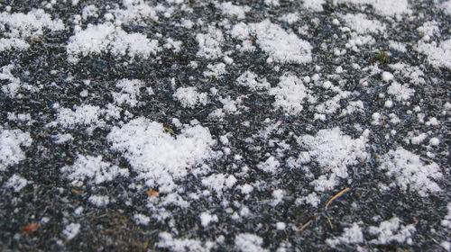 Close-up of snow on field