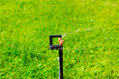 Telephone booth on field