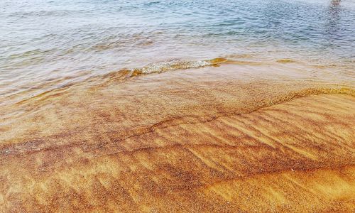 High angle view of beach