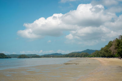 Scenic view of beach against sky