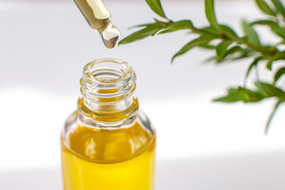 Essential or organic oil in a glass pipette, over a bottle close-up