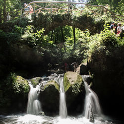 View of waterfall in forest