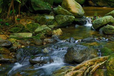 River flowing through rocks in forest