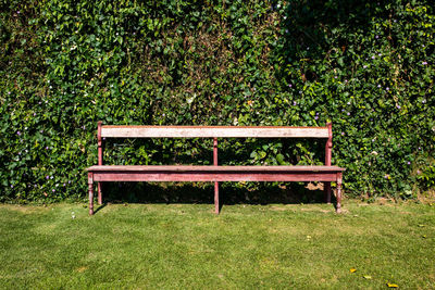 Empty bench in park