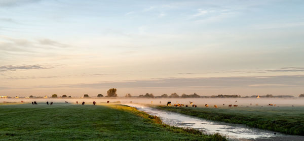 Scenic view of landscape against sky during sunset