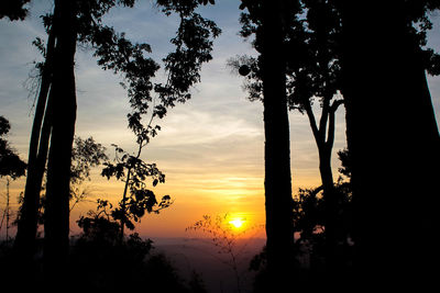 Silhouette trees against sky during sunset