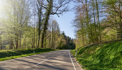 Empty road amidst trees against sky
