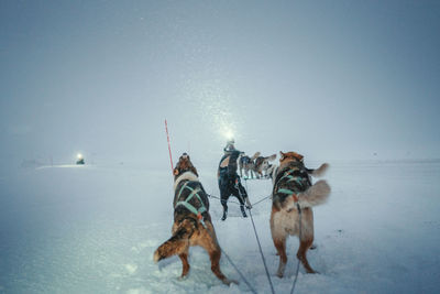Rear view of people on snow