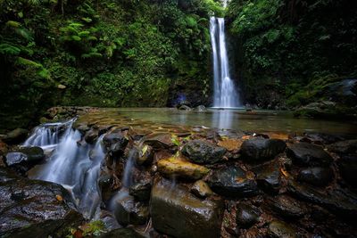 View of waterfall in forest