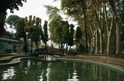 Reflection of trees in river