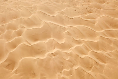 Full frame shot of sand dune