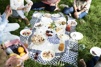 Partial view of women having a picnic in park