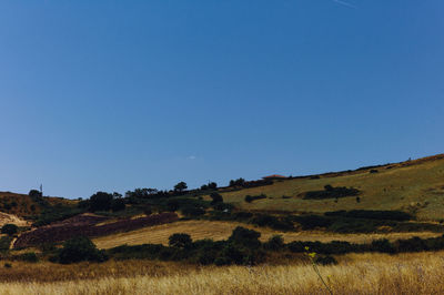 Scenic view of landscape against clear blue sky