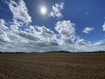 Scenic view of agricultural field against sky