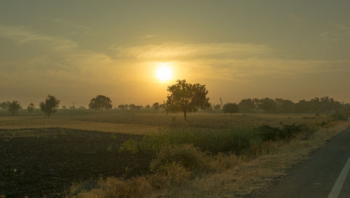 Scenic view of field against sky during sunset