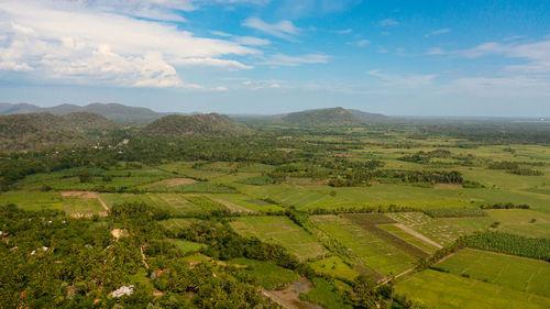 Aerial drone of agricultural land with green plantings in the rural area. sri lanka.