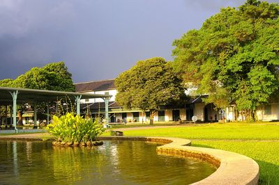 View of lake in park