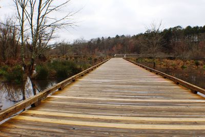 Boardwalk amidst bare trees against sky