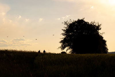 Silhouette tree on field against sky during sunset