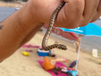 Close-up of hand holding sand