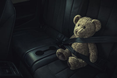 Child car transportation safety theme. teddy bear on a backseat with fasten seat belt.