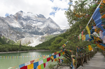 Bunting on footpath by river against mountain