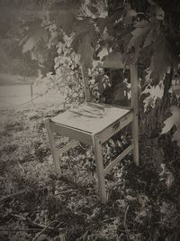 Plants and table on field by wall