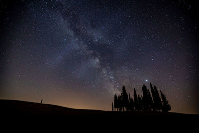 Silhouette trees against sky at night