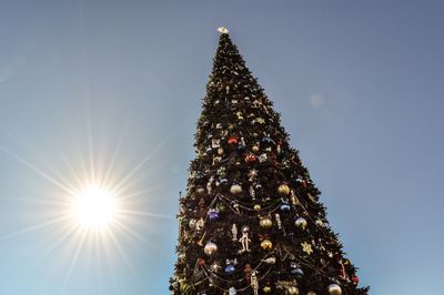 Low angle view of christmas tree against sky on sunny day