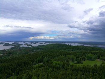 Scenic view of forest against sky