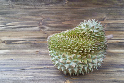 Close-up of succulent plant on table