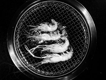 High angle view of fish on barbecue grill