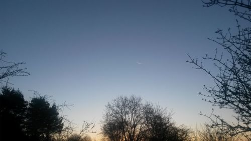 Low angle view of trees against clear blue sky