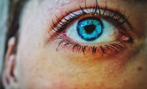 Cropped image of woman blue eye