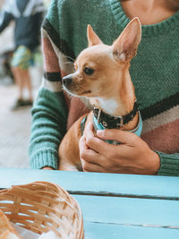 Low section of person with dog