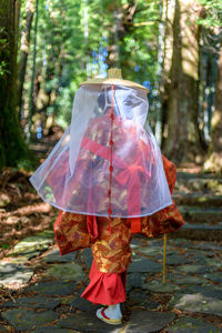 Rear view of woman standing in forest