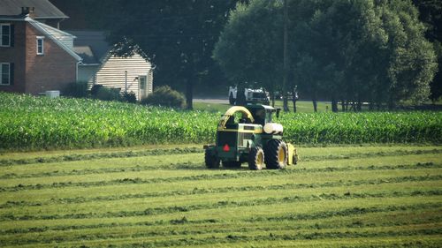 Rear view of man and tractor on agricultural field