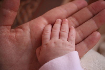 Close-up of baby holding hands