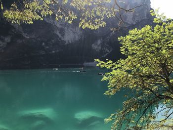 Scenic view of sea against trees