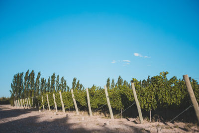 Scenic view of landscape against blue sky