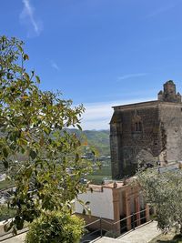 Plants by historic building against sky